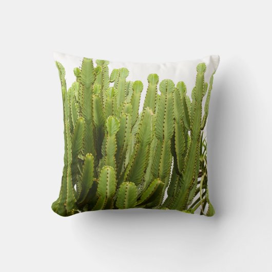 緑色多肉植物装飾用クッションクッション クッション (正面)