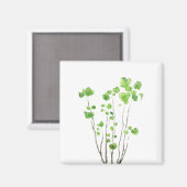 緑色屋内植物の水色 マグネット (正面/裏面)