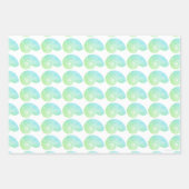 緑色数々のの貝殻ラッピング紙 ラッピングペーパーシート (正面)