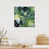 緑色植物ポスター ポスター (キッチン)