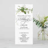 緑色植物学水彩書道プログラム (スタンド正面)