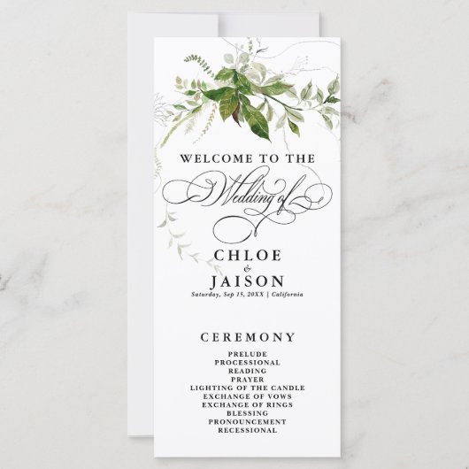 緑色植物学水彩書道プログラム (正面)