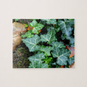 緑色植物性ツタと野石 ジグソーパズル (横)