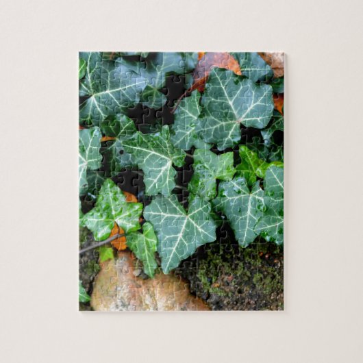 緑色植物性ツタと野石 ジグソーパズル (縦)