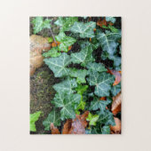 緑色植物性ツタと野石 ジグソーパズル (縦)