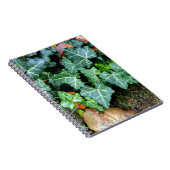 緑色植物性ツタと野石 ノートブック (右側)