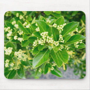 緑色植物美しい マウスパッド