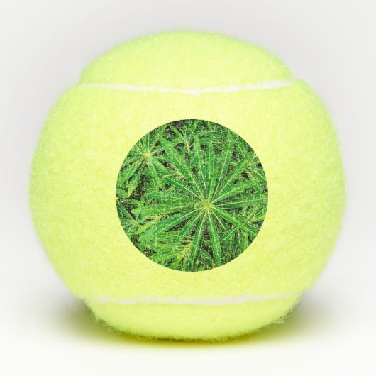 緑色植物 テニスボール (正面)
