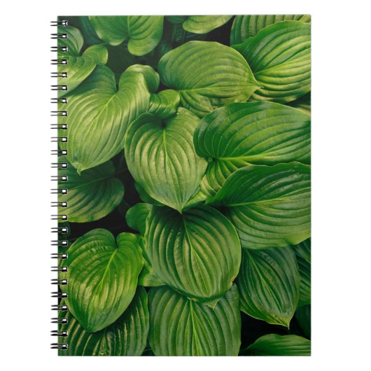緑色植物 ノートブック (正面)