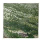 緑色装飾瓦 タイル (正面)