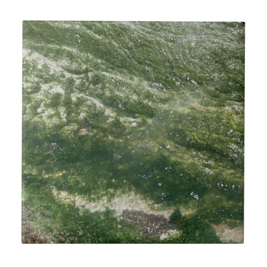 緑色装飾瓦 タイル (正面)