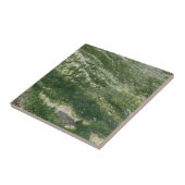 緑色装飾瓦 タイル (側面)