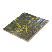 緑苔の生い茂った大きな枝 タイル (側面)