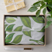 緑茶の継ぎ目のないパタ葉ーン 薄葉紙 (ギフト)