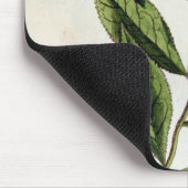 緑茶は、「好奇心が強い草」からの351を、publめっきします マウスパッド (コーナー)