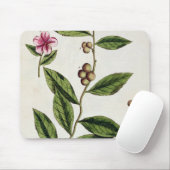 緑茶は、「好奇心が強い草」からの351を、publめっきします マウスパッド (マウス)