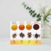 緑茶、黄茶、烏龍茶、紅茶 ポストカード (スタンド正面)