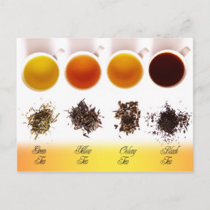緑茶、黄茶、烏龍茶、紅茶 ポストカード