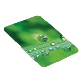 緑草の瞑想の露ドロップ マグネット (右側)