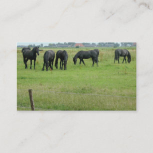 緑草原の小さい写真カードのFriesianの馬 名刺