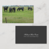 緑草原の小さい写真カードのFriesianの馬 名刺 (正面/裏面)