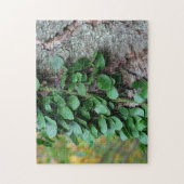 緑葉つる植物樹上に成長する自然 ジグソーパズル (縦)