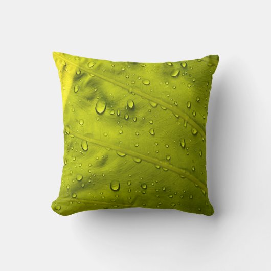 緑葉に水が滴る クッション (正面)