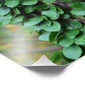 緑葉のつる植物が木の幹に育つ8x10 フォトプリント            (角)