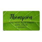 緑葉のクローズアップかわいい葉菜 ラベル (正面)