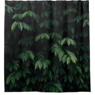 緑葉の木 シャワーカーテン