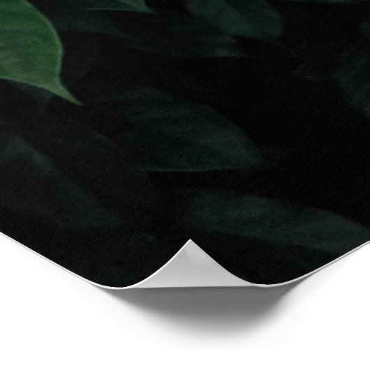 緑葉の木 ポスター (角)