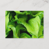 緑葉の花，葉，植物，花屋 名刺 (裏面)