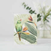 緑葉の鳥のヤシ ポストカード (スタンド正面)