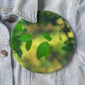 緑葉の《写真》ぼけ味 缶バッジ (インサイチュ)