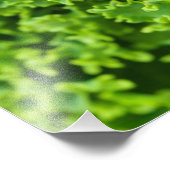 緑葉の、葉の背景、葉、子葉、植物 フォトプリント            (角)