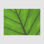 緑葉の、葉の背景、葉、子葉、植物 薄葉紙 (正面)