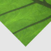 緑葉の、葉の背景、葉、子葉、植物 薄葉紙 (詳細)