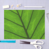 緑葉の、葉の背景、葉、子葉、植物 薄葉紙 (クラフト)