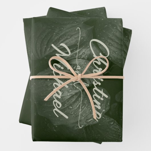 緑葉エレガント春の結婚式 ラッピングペーパーシート (インサイチュ)