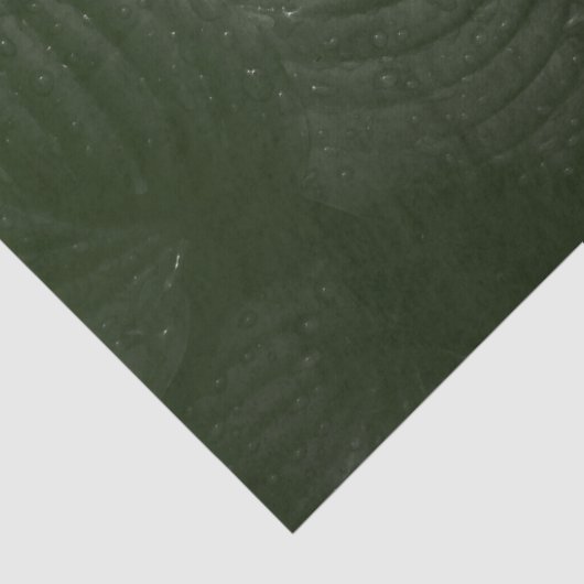 緑葉エレガント春の結婚式 薄葉紙 (詳細)