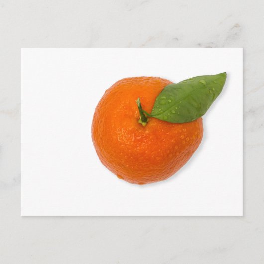 緑葉付きマンダリン ポストカード (正面)