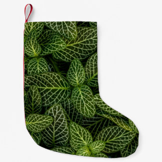 緑葉植物のマクロ写真 スモールクリスマスストッキング