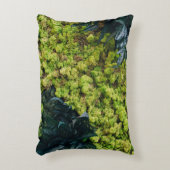 緑葉植物 アクセントクッション (正面(垂直))