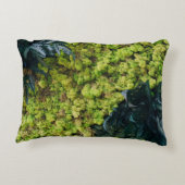 緑葉植物 アクセントクッション (裏面)