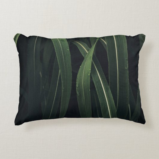 緑葉植物 アクセントクッション (正面)