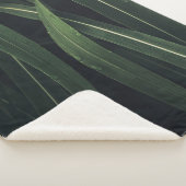 緑葉植物 シェルパブランケット (3/4)