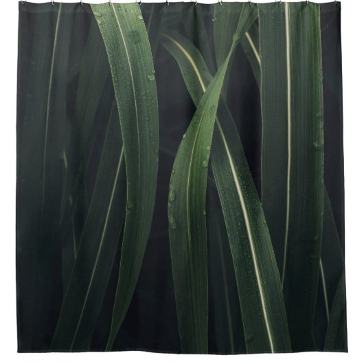 緑葉植物 シャワーカーテン (正面)