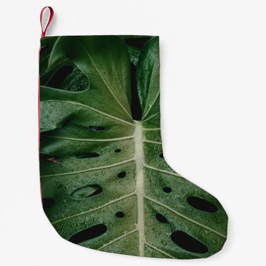 緑葉植物 スモールクリスマスストッキング (正面)