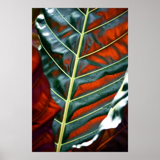 緑葉植物 ポスター (正面)