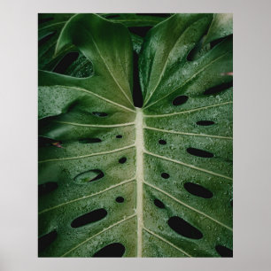 緑葉植物 ポスター